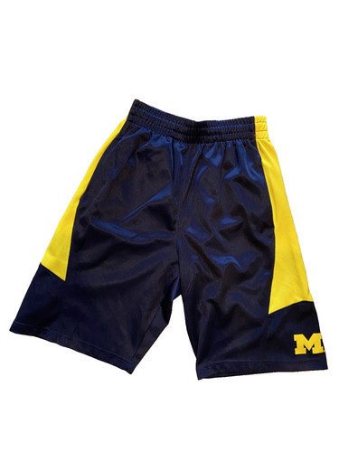 Michigan wolverines proedge - michigan,