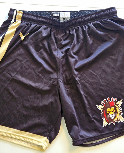 Puma basketball shorts mens - mens, xl